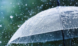 细雨绵绵的诗句 秋天细雨绵绵的诗句