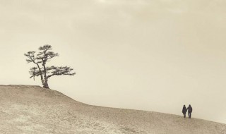 不名一文意思 一文不名的意思