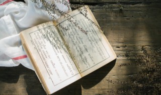 返哺之恩意思 什么尚有反哺之恩