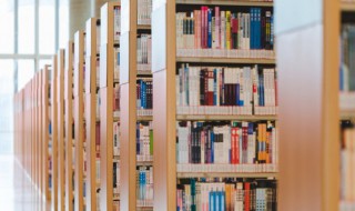 洋洋大观出处（我想看洋洋大观）