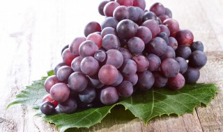 提子储存方法（提子保鲜方法）