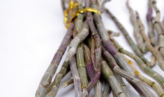 铁皮石斛储存方法（铁皮石斛储存方法图片）