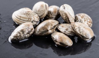 蛤蜊的储存方法 蛤蜊保鲜方法