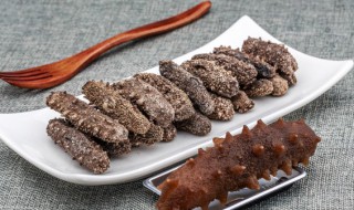 泡发海参的储存方法（泡发海参的保存方法）