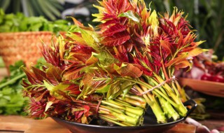 香春的储存方法（香椿的保鲜方法）