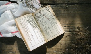 析辨诡词意思 诡意思解释