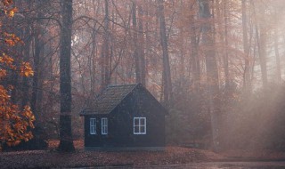 黼蔀黻纪意思（黼蔀黻纪什么意思）