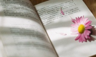 养虎贻患的遗什么意思（养虎贻患,谓留祸之在身）