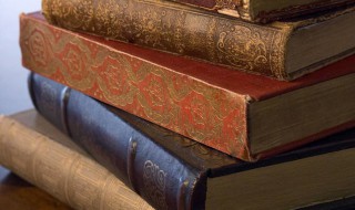 一龙一蛇意思（一龙一蛇意思是什么）