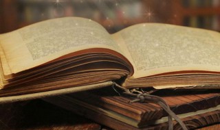 高情厚谊意思（高情厚意的意思）