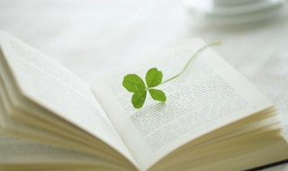 能者为师意思 能者为师意思相近的名言