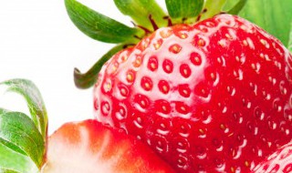 草莓的形状和特征怎么描述（草莓的形状和特征怎么描述的）