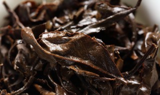 福鼎老白茶怎么泡 福鼎老白茶怎么泡不苦