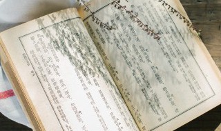 沿用与延用两个词用法的区别（沿用与延用两个词用法的区别是什么）