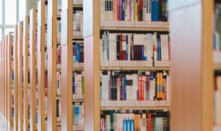 舌战群儒意思（舌战群儒意思解释）