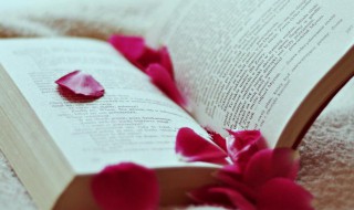 关于写给男朋友最美的情话 关于写给男朋友最美的情话简短