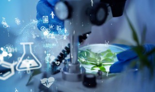 研究目的意义背景这三这有什么区别（研究目的是研究背景吗）