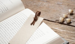 如何才能提高阅读理解能力 怎么提高阅读的理解能力