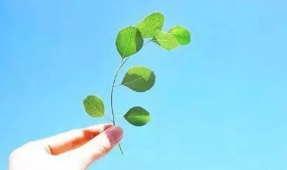 描述女孩性格特点的句子 描述女孩性格特点的句子有哪些