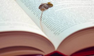 哄女孩子开心的方法 哄女孩子开心的方法和步骤