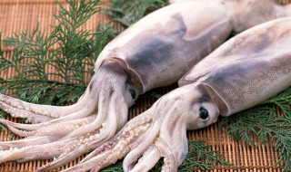 鱿鱼热量高不高（铁板鱿鱼热量高不高）