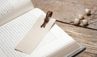 什么是独立意识 独立意识百度百科