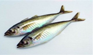 魟鱼翘嘴怎么回事（魟鱼翘嘴是怎么回事）