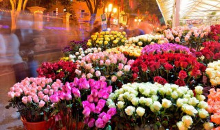 十大寓意吉利的花（十大寓意吉利的花语）