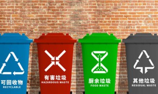 废电池属于什么垃圾（废电池属于什么垃圾有什么危害）