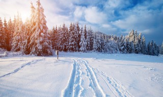 梦见雪地是什么征兆（梦见下雪是什么征兆）