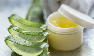 芦荟用什么土种最好（芦荟用什么土种最好赤豆和薏米确实用炒熟吗）