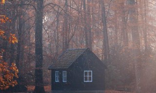 百足之虫至死不僵是什么意思（百足之虫死而不僵 什么意思）