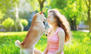 梦见给狗洗澡是什么意思（梦见给小狗洗澡是什么意思）