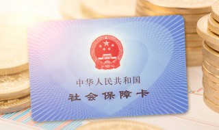 公司社保编号怎么查 公司社保编号怎么查询公司名称