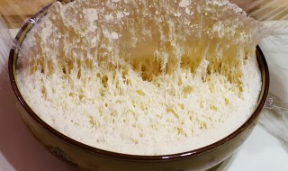 用酵母粉如何发面 用酵母粉如何发面视频