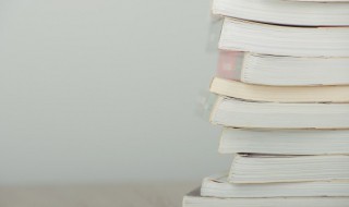 成则为王败则为虏是什么意思（成则为王败则为虏是什么意思解释）