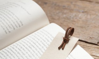 蚊子遭扇打只为嘴伤人是什么意思（蚊子遭扇打只为嘴伤人是什么意思啊）