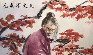 量小非君子无毒不丈夫是什么意思 量小非君子 无毒不丈夫什么意思