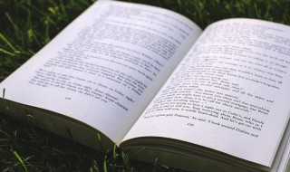 丈母娘看女婿越看越有趣是什么意思（丈母娘看女婿越看越喜欢下一句是什么）