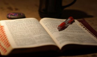 师父领进门修行在个人是什么意思（师傅领进门,修行在个人什么意思）