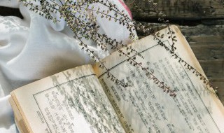 求生不得求死不能是什么意思（求生不能,求死不得）