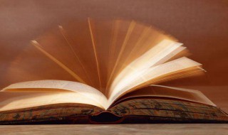 人心不同各如其面是什么意思（人心不同各如其面是什么意思?）