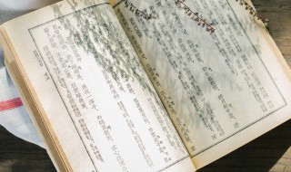 小杖则受大杖则走是什么意思 小杖则受大杖则走是什么意思呀