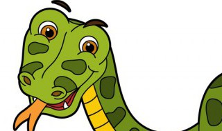 蛇和龙相冲吗 蛇和龙相冲吗?