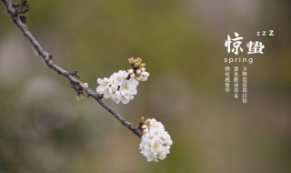 惊蛰什么时候（惊蛰什么时候结束）