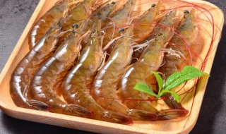 活虾的储存方法（活虾怎么储存方法）