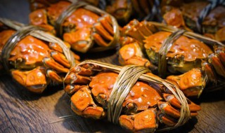 大闸蟹是什么东西（大闸蟹是什么东西做的）