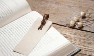 上瘾小说讲的什么（上瘾小说讲的啥）