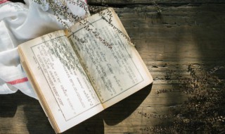 曹文轩最经典的七个作品（曹文轩最经典的七个作品是什么）