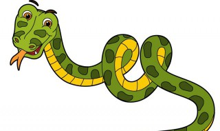 家里进蛇的是什么预兆（有蛇进家里是什么预兆）